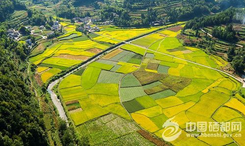 2017年账单,恩施城乡终极pk,你站哪一边
