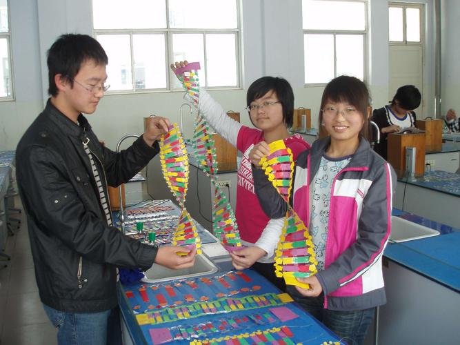 学生手工制作的生物dna分子模型