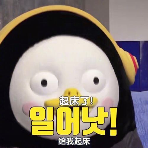 今日份pengsoo表情包