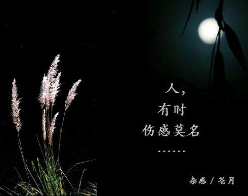 可见做梦是保持良好心态的一个必不可少 经常听到有人抱怨"作了一夜