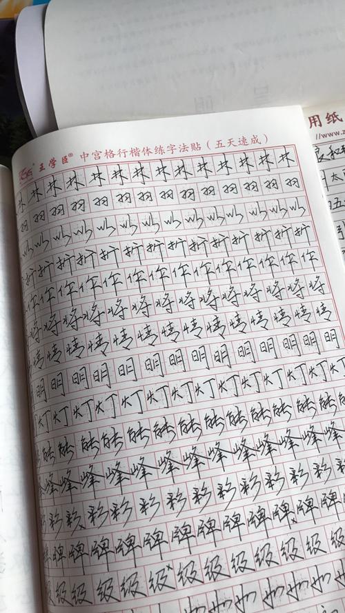 因为时间原因我只学了40天中宫格  是这种字体 这套教材叫王学臣