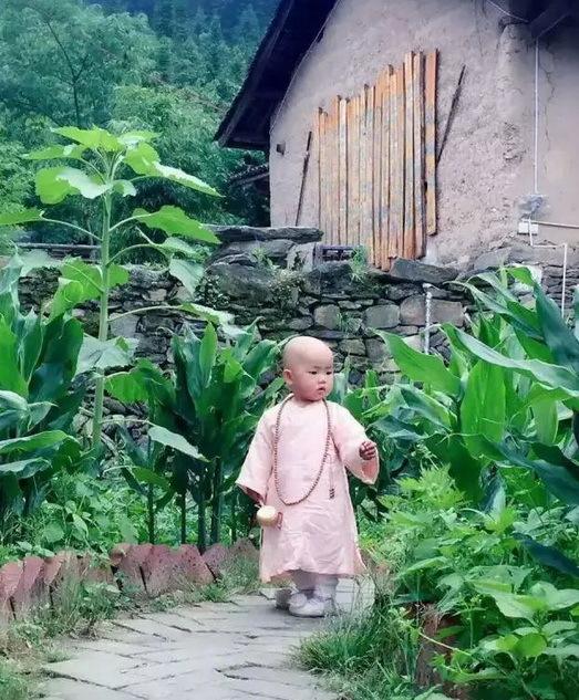 男子带妻女隐居武当深山 与世无争