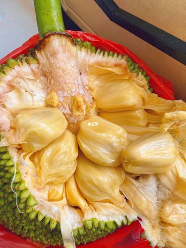 运气好才能买到这样的崇左本地湿包木菠萝_东源名城小区_美食_美食