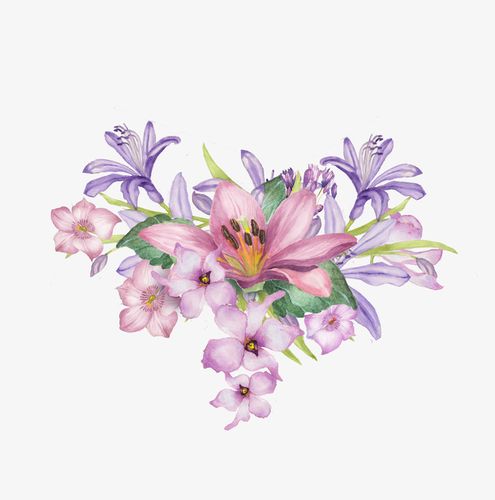 手绘花簇