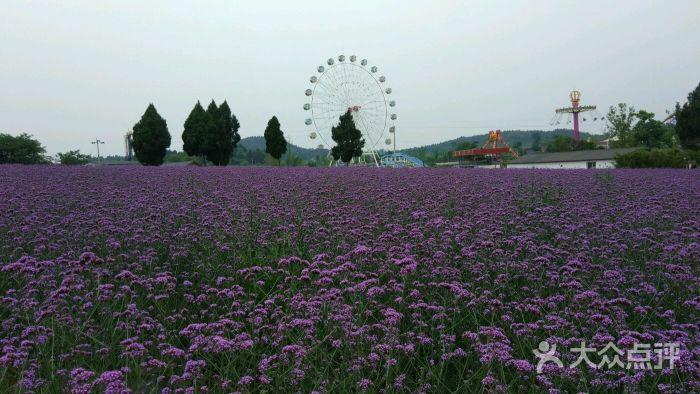 原香国际香草园-图片-绵阳景点/周边游-大众点评网
