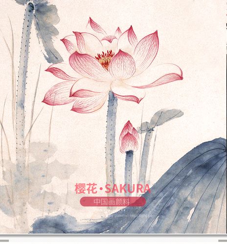 【sakura/樱花国画颜料】日本樱花国画颜料 中国画24