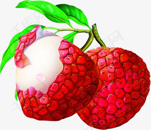 手绘荔枝画免费素材荔枝果实红色绿色水果荔枝树卡通手绘荔枝