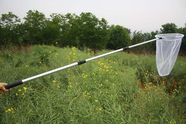 儿童捕虫网蝴蝶昆虫蜻蜓伸缩折叠小抄网捞鱼网蝌蚪