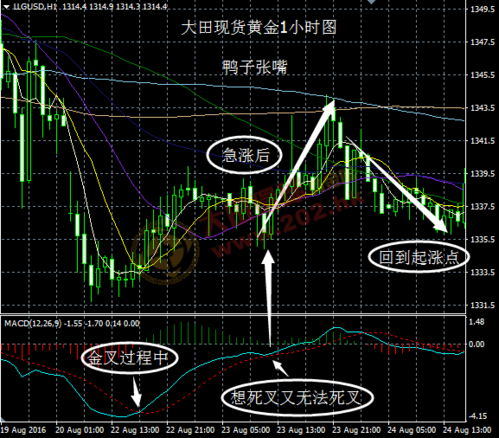 macd鸭子张嘴与倒鸭嘴
