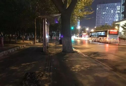 小编昨天晚上来到敬宾街车站,看到大部分车辆已经停靠新站位,部分车辆