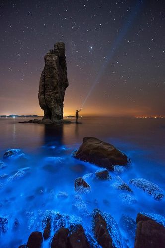 美图分享# 繁星落入了大海