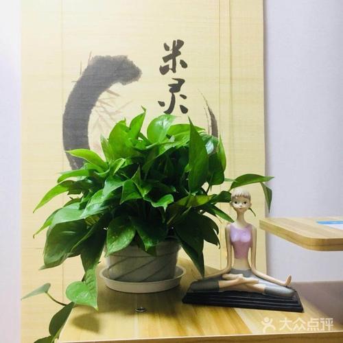 米灵瑜伽