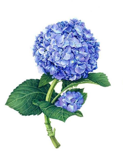 创新:马克笔与水粉颜料结合作画.