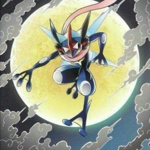 小智甲贺忍蛙qq头像