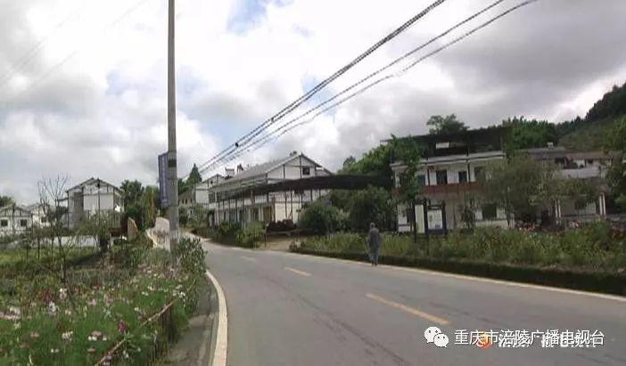 生活垃圾,涪陵,百胜镇,桂花村,垃圾分类,示范区