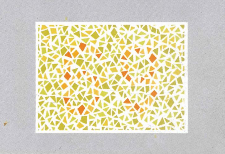 色盲检查图(第五版)0000.pdf 65页