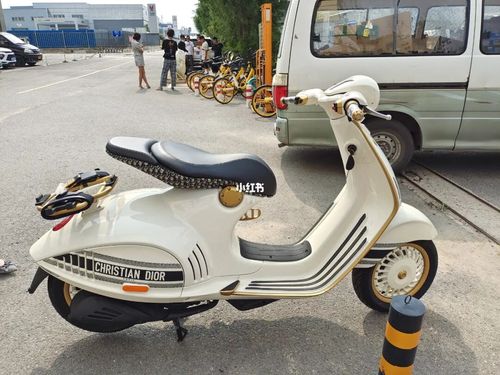 vespa 946迪奥联名款_懂车帝金港汽车公园自由行热门