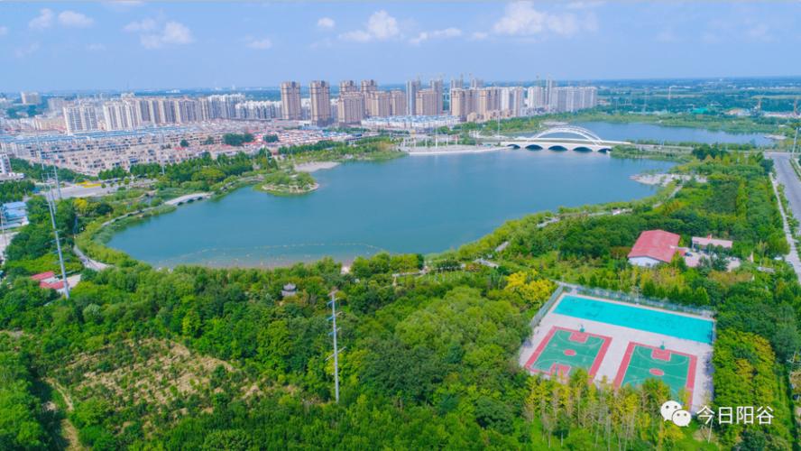 今日阳谷郑重声明