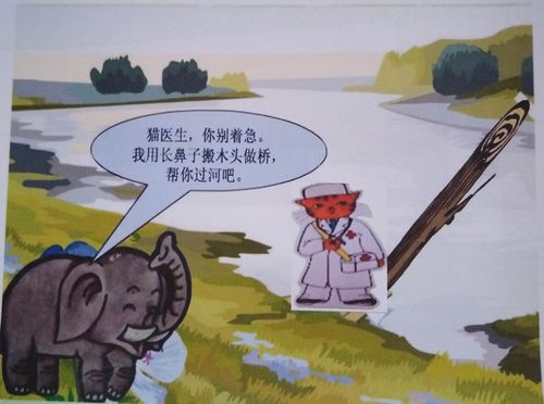 《猫医生过河》 ——鲍墟中心校幼儿教师2019年评估