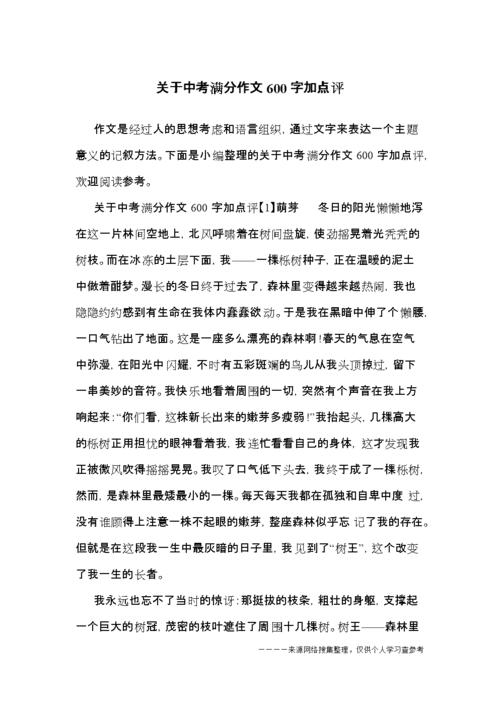 关于中考满分作文600字加点评.docx 5页