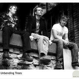 image for "the unbending trees"