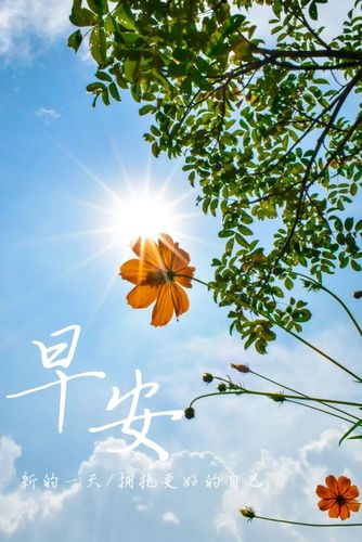 早安语录图片句子 早安心语朋友圈励志语录图片