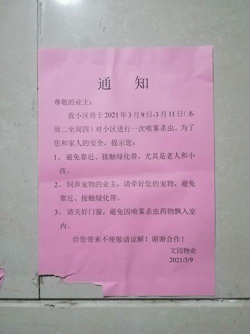 贴在墙上的一个通知单
