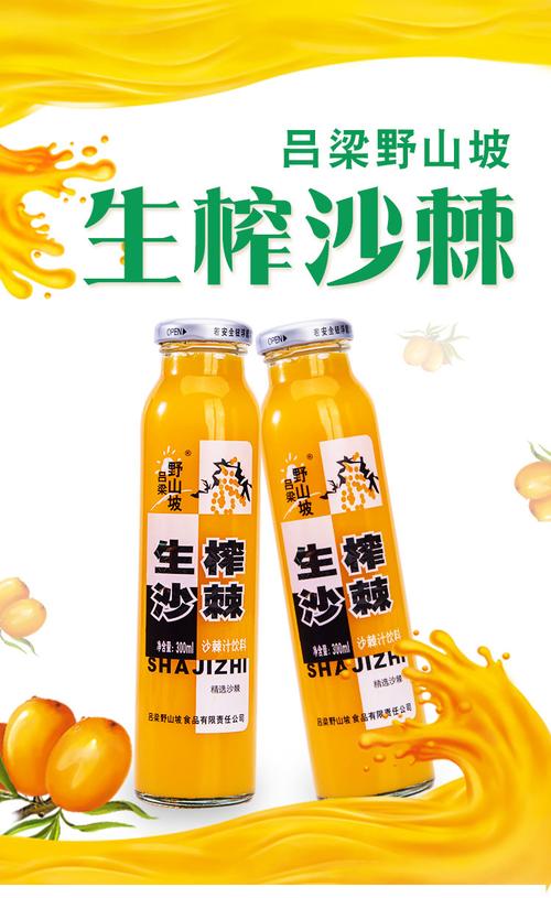 厂家直发吕梁野山坡沙棘汁饮料整箱12瓶装 生榨沙棘正品批发