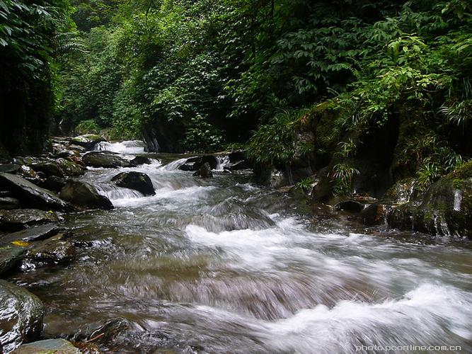 小溪水