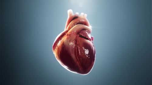 心脏跳动视频素材