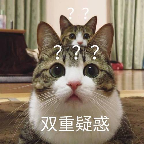 喵星人双重疑惑问号表情包喵星人问号疑惑双重表情