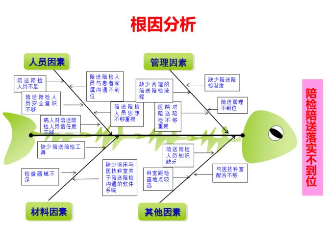 护理 鱼骨图模板