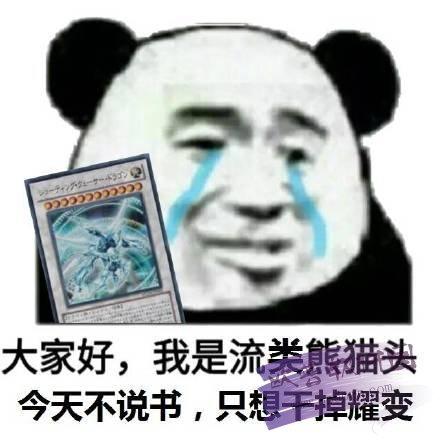 我是流泪熊猫头表情包 高清版