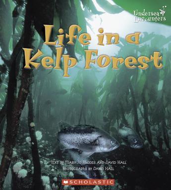 lifeinakelpforest