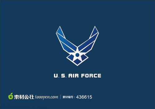 精致美国空军标识矢量素材