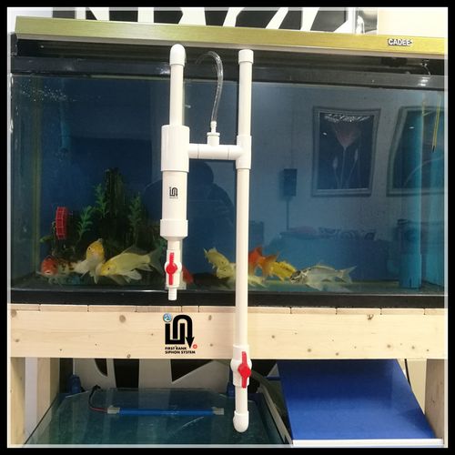 鱼缸不打孔改底过滤器diy 虹吸管件家用全自动循环创意干湿鱼马桶_7折