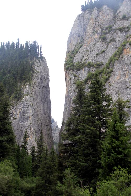 桑科草原辽阔无际,则岔石林壁立千仞----甘南自驾游(二)