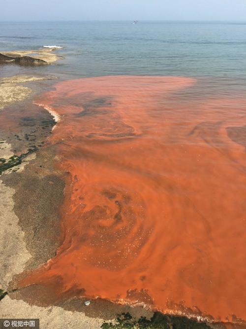 山东日照海边现"赤潮"现象