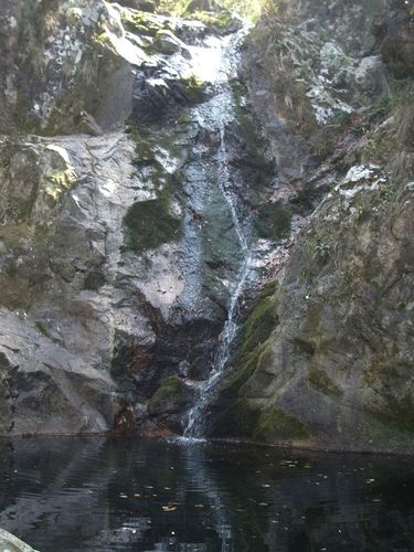 2月27日阴好想山沟沟的那个家!