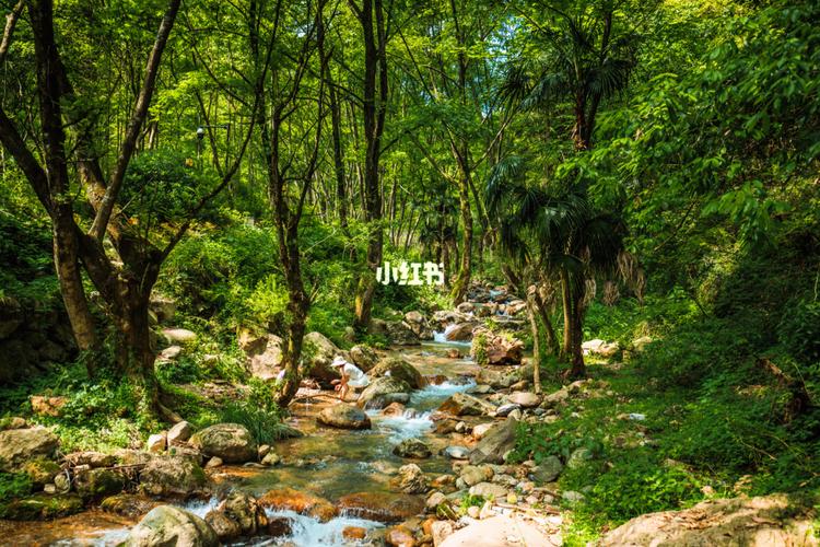 双龙溪峡谷_金华双龙风景旅游区自由行热门攻略_金华自由行热门攻略