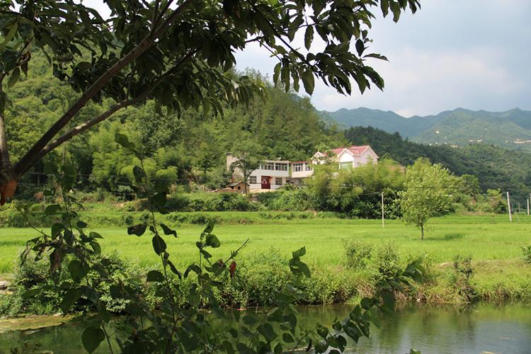 花园村