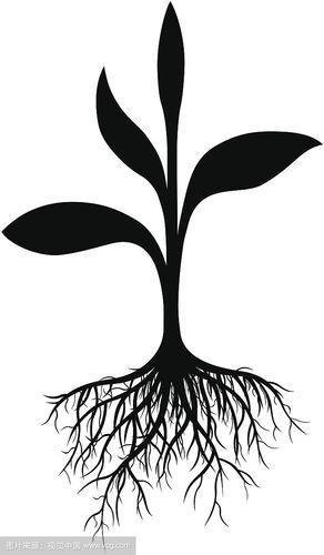 【植物的根有什么作用】植物的根动漫图片