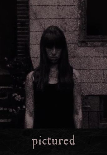 《古画惊魂 / pictured》的剧情介绍