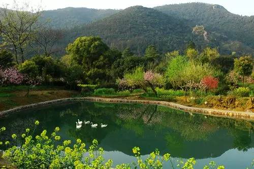 高新区 树山生态村 苏州大白荡城市生态公园aaa 9:00 -- 17:00 相城