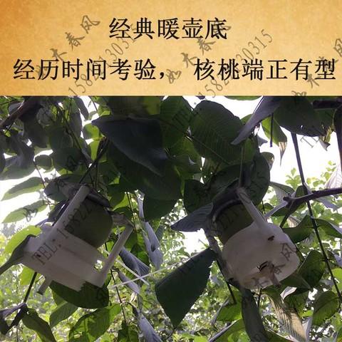 麻核桃文玩核桃夹子青皮闷尖夹板模具厂家直销定型夹量大包邮