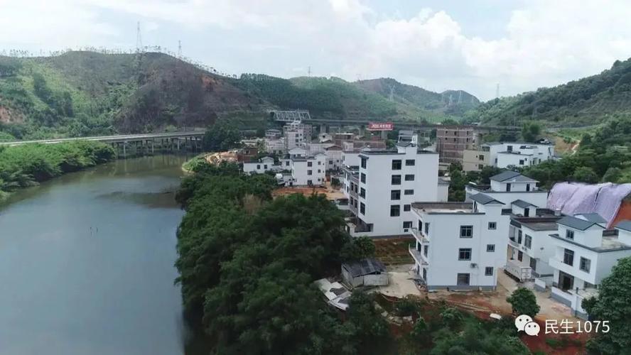 乡风文明丨梧州市龙圩区龙圩镇奋力描绘乡村振兴新画卷