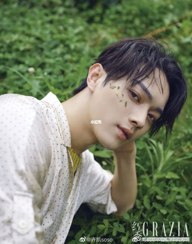 更新了许凯帅照带张可爱_许凯_娱乐_明星娱乐资讯