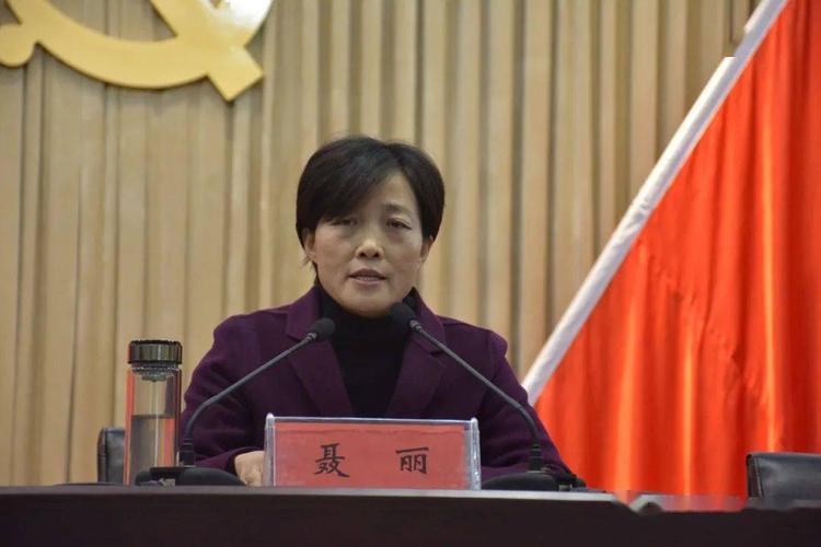 县人民政府副县长,红十字会会长聂丽,市红十字会组宣部部长孔明辉