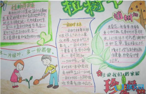 画种花的孩子手抄报 花的手抄报