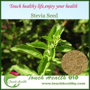 stevia seed germination
